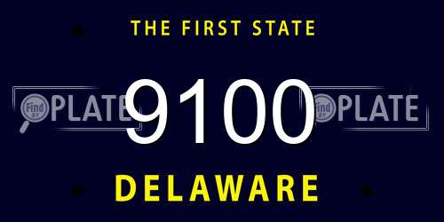 9100 Delaware License Plate
