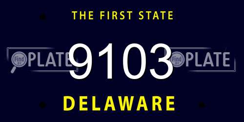 9103 Delaware License Plate