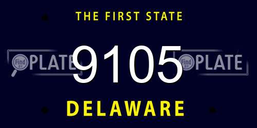 9105 Delaware License Plate