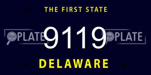 9119 Delaware License Plate