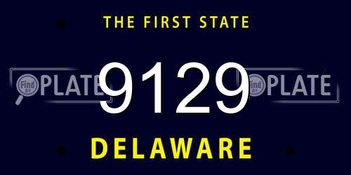 9129 Delaware License Plate