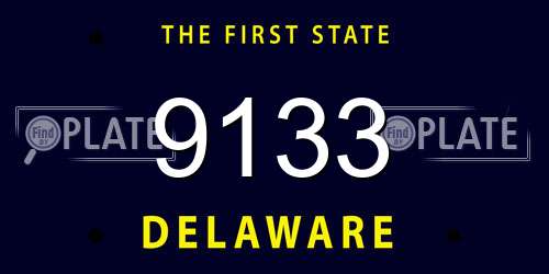 9133 Delaware License Plate