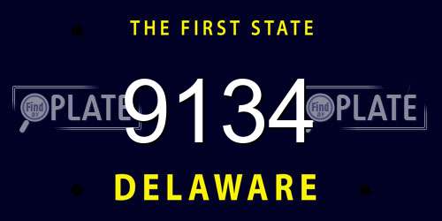 9134 Delaware License Plate