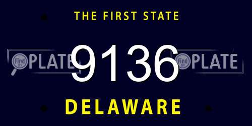 9136 Delaware License Plate