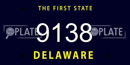 9138 Delaware License Plate