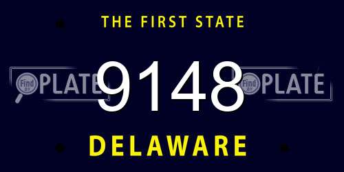 9148 Delaware License Plate