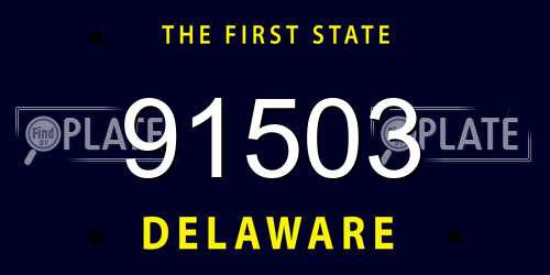 91503 Delaware License Plate