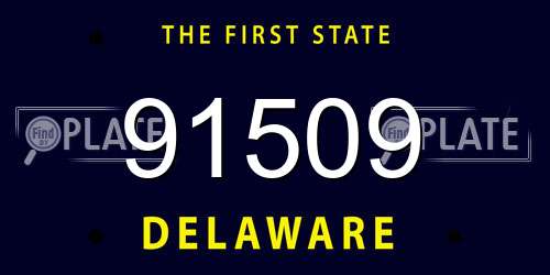 91509 Delaware License Plate