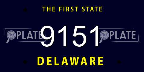 9151 Delaware License Plate