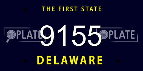 9155 Delaware License Plate