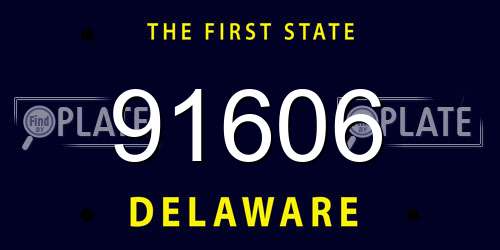91606 Delaware License Plate