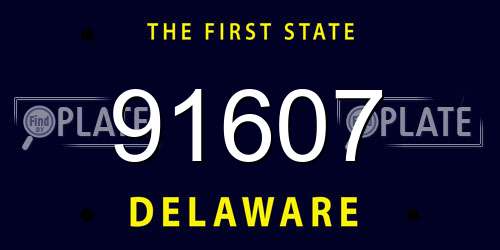 91607 Delaware License Plate