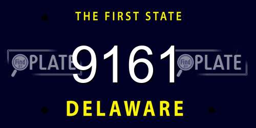 9161 Delaware License Plate