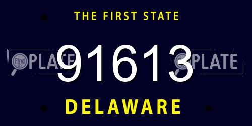 91613 Delaware License Plate
