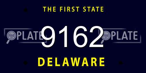 9162 Delaware License Plate