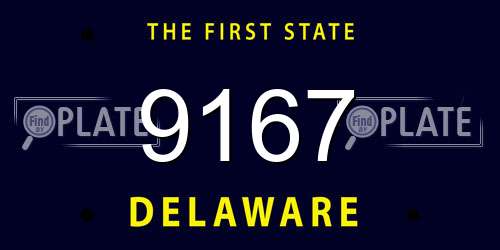 9167 Delaware License Plate
