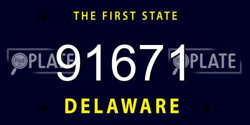 91671 Delaware License Plate