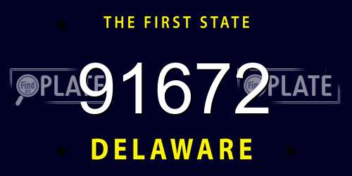91672 Delaware License Plate