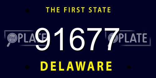 91677 Delaware License Plate