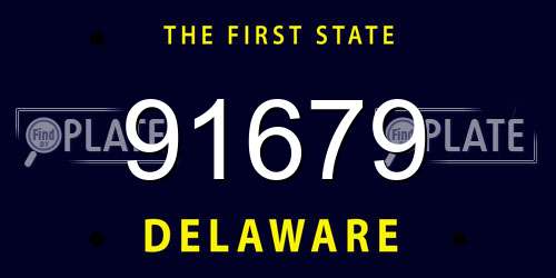 91679 Delaware License Plate