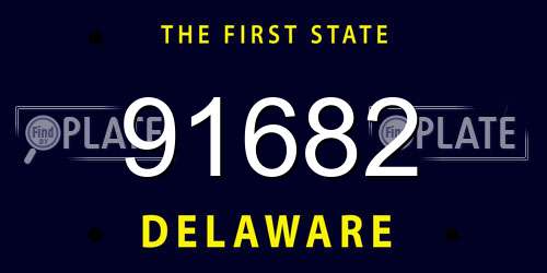 91682 Delaware License Plate