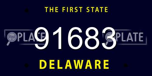 91683 Delaware License Plate