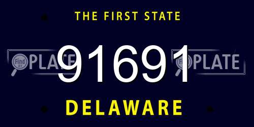 91691 Delaware License Plate