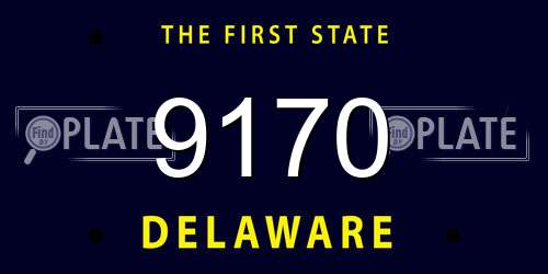 9170 Delaware License Plate