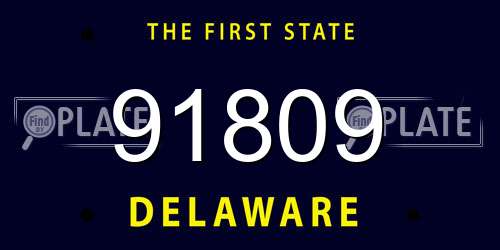 91809 Delaware License Plate