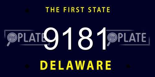 9181 Delaware License Plate