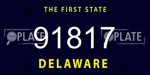 91817 Delaware License Plate