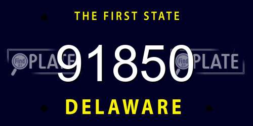 91850 Delaware License Plate