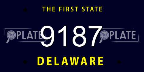 9187 Delaware License Plate