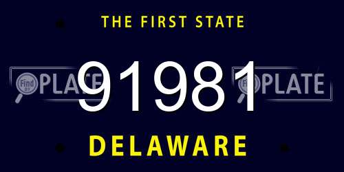 91981 Delaware License Plate