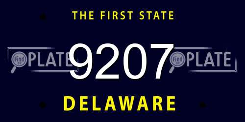 9207 Delaware License Plate