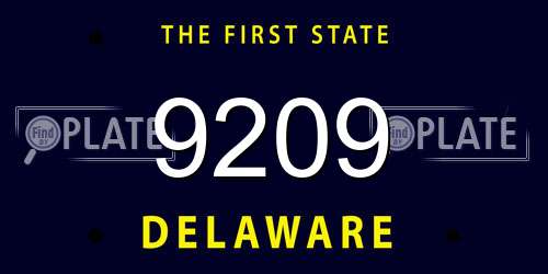9209 Delaware License Plate