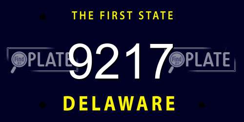 9217 Delaware License Plate