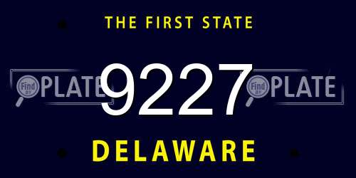9227 Delaware License Plate