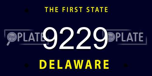 9229 Delaware License Plate