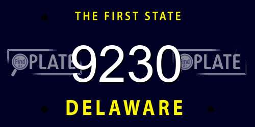 9230 Delaware License Plate
