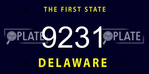 9231 Delaware License Plate