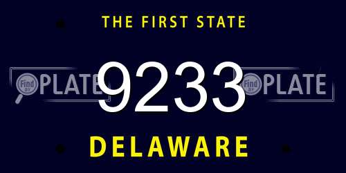 9233 Delaware License Plate