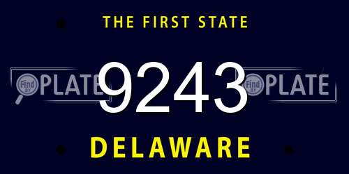 9243 Delaware License Plate