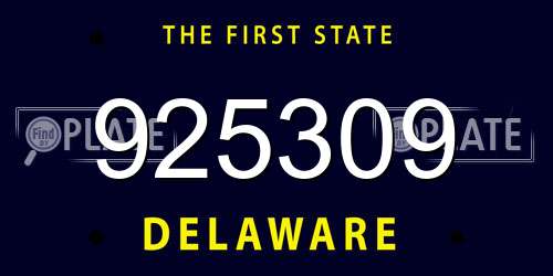 925309 Delaware License Plate