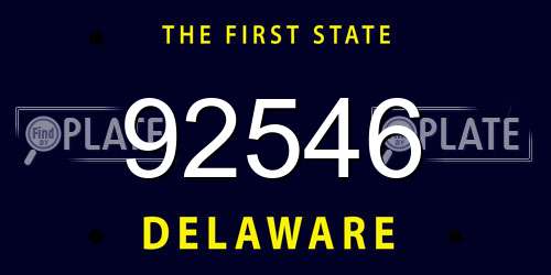 92546 Delaware License Plate