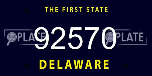 92570 Delaware License Plate