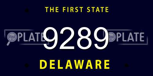 9289 Delaware License Plate