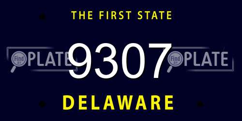 9307 Delaware License Plate