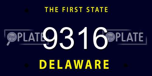 9316 Delaware License Plate