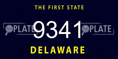 9341 Delaware License Plate